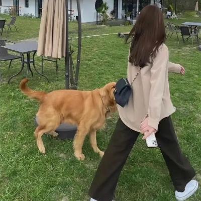 黑暗之地